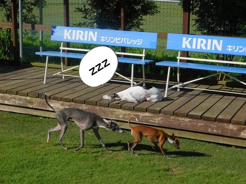 223803673_208033371251542_1460589326553831742_n