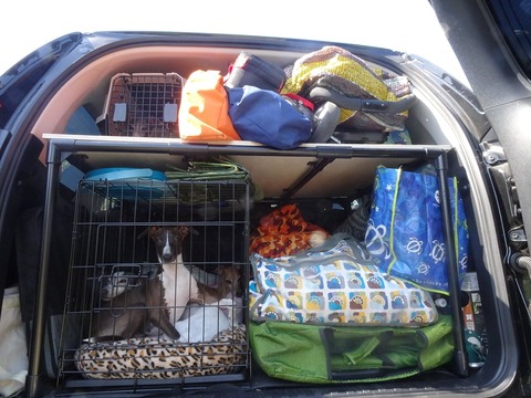 175345015_286856299582769_7009544991630139971_n