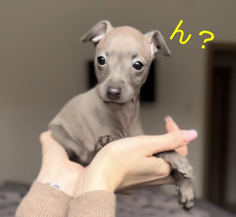 482323034_666023076105269_7007550406074357205_n