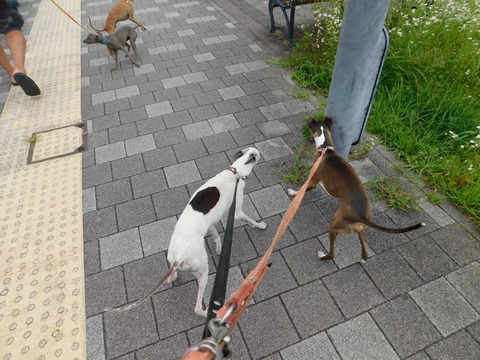 DSCN6358