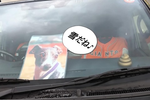 526ffa9b-a7dc-4bfa-871f-c56eb4fa6c92