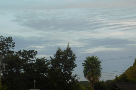DSCN0529