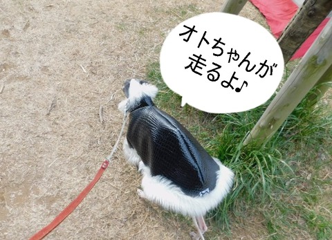 273597014_312045867651700_5017492259334787683_n