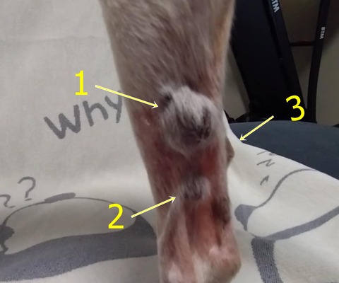 9b36868d-e212-4a7e-bc3a-4e7aa51f9aeb