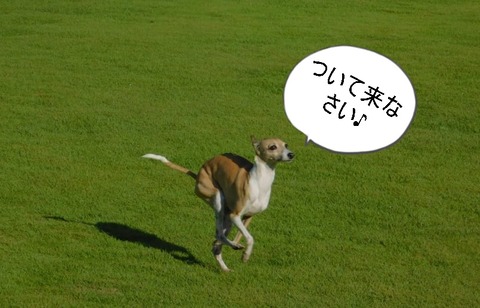 223918604_379783283492663_7056328607441949610_n