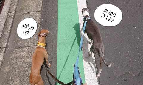 355530732_2449075165267734_1822367422576296722_n