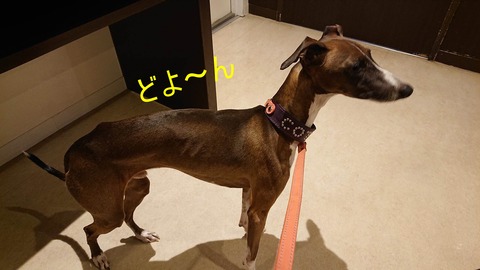 320122149_709806610731545_8417885482692762653_n