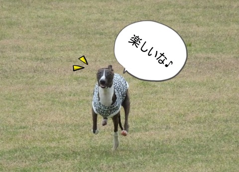 176143511_987063171698376_8700319601144116267_n