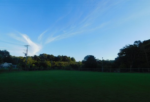 DSCN5811