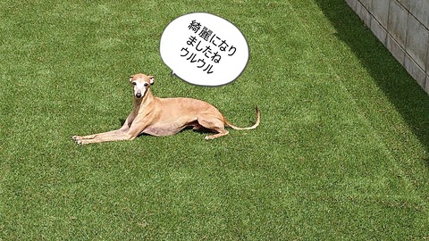 ea8ee33d-194e-4056-829b-31b4d5925a6c