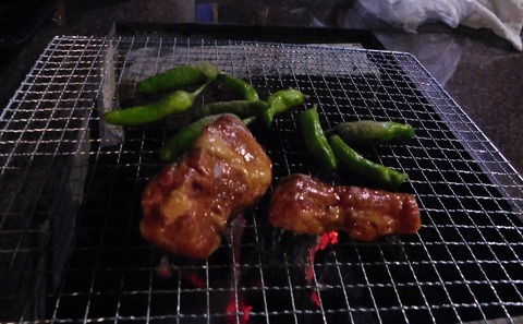 DSCN6200