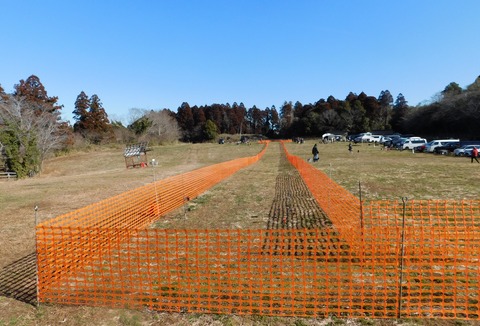 DSCN8818