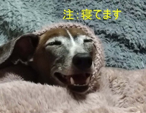 391f0041-9df3-4a03-9956-a60467a3c215