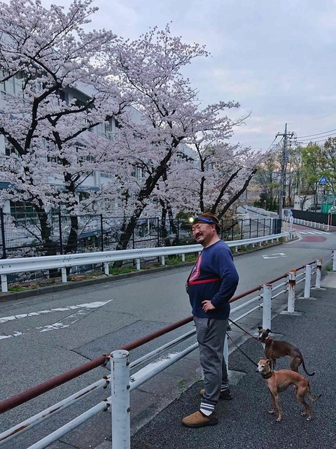 60978a8b-83e8-4423-8a0c-bc4bd1646a6b