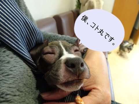 272937299_1572571683143010_6346178637721787220_n