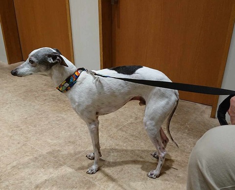 429089381_378688118388027_651619997812820728_n