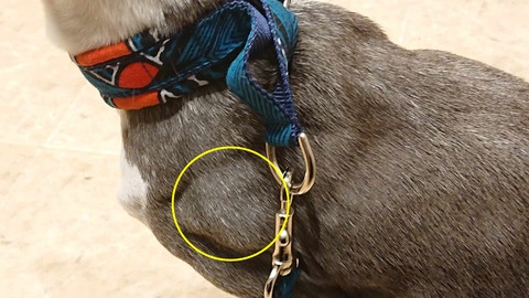 429639348_778745236925226_6306995825028187962_n