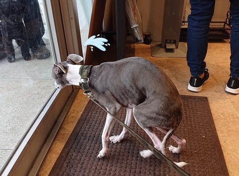 278022196_996709114292892_2285716628207829097_n - コピー