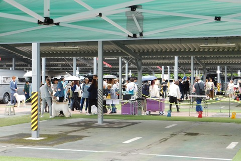 DSCN6026