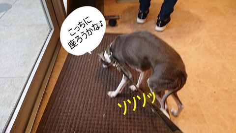 277951977_1612028729173953_5731791643617646954_n - コピー