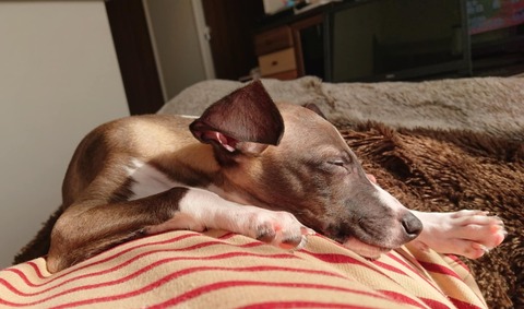 ef4ba35c-e487-4fc0-b5c5-1c04a47a05c5