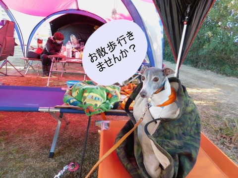 273484464_956058581997159_832525649108280176_n