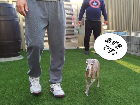 64d9cec0-537c-4a74-9932-8e6595242331