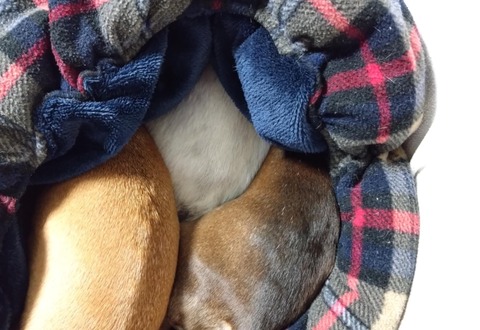 b53f2c4f-33fd-4653-b774-a986d98dba1e