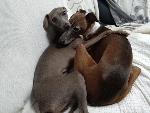 55b83bf9-a3f5-46cb-9722-b3f80effef64