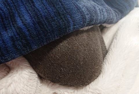 278158675_1794929627379627_2813254481761609819_n - コピー