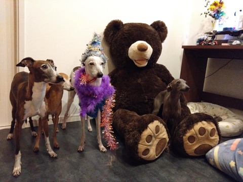 ee111c49-853a-4019-8915-63eb23cd0a41 (1)