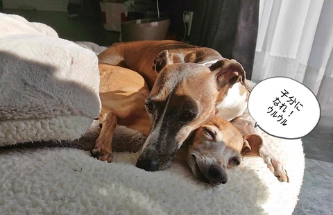 7bbe30f6-bd78-4ca9-bd77-0bc2073878a0