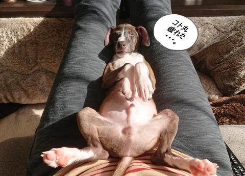 3430a52d-b19c-4770-b825-853db7d36889