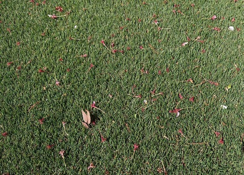 3e02473d-2267-498b-b56c-500482de1963