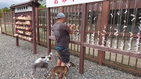 355153808_944958340059798_5830754326312217278_n