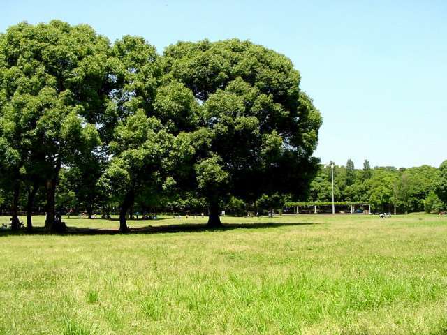 まん丸の行田団地 ビビット05 04