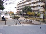 船橋市本町4丁目・旧々市役所跡公園-20041219-1318-DSC02431