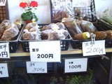 ½¬»ÖÌî»ÔëÄÅ2¡¦¤ß¤ó¤Ê¤Î¤ªÅ¹-20050122-1543-DSC04519