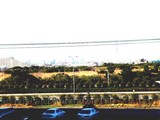 市川塩浜宮内庁鴨場-20050117-1237-DSC04340