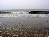20050416-千葉市美浜区美浜・幕張海浜公園・人工海浜幕張の浜-1203-DSC09010