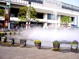 20050505-東京都江戸川区臨海町6・葛西臨海公園-1551-DSC01032