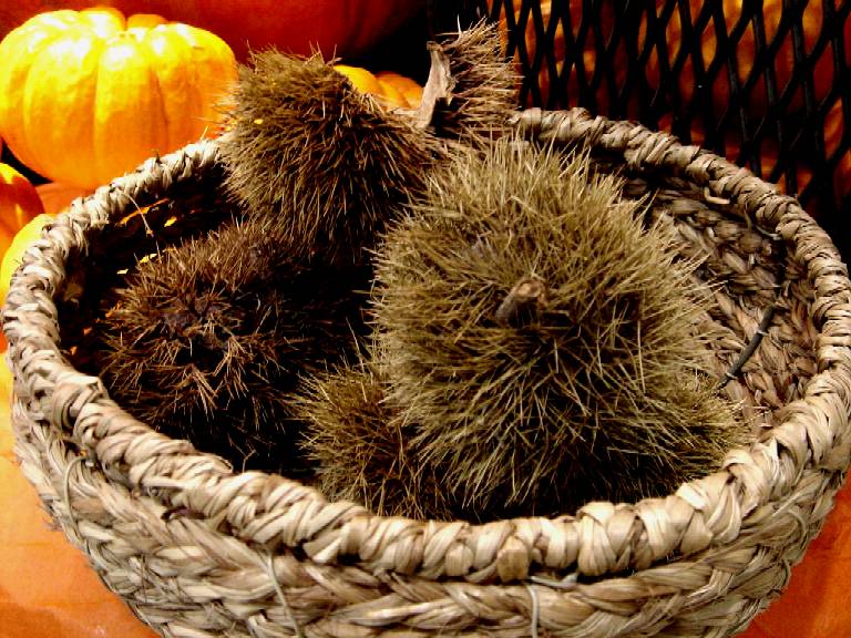 10月31日はハロウィン 8 ビビット05 04