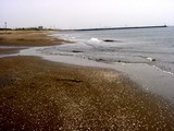 20050416-千葉市美浜区美浜・幕張海浜公園・人工海浜幕張の浜-1204-DSC09020