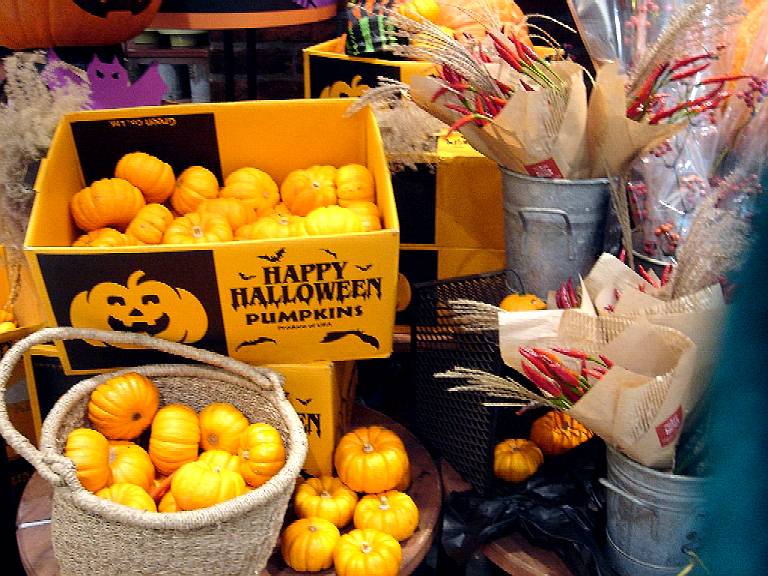 10月31日はハロウィン 8 ビビット05 04
