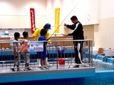 20050503-千葉市中央区川崎町・ハーバーシティ蘇我・フェスティバルウォーク蘇我・とれとれ市場・釣り堀-1512-DSC00375