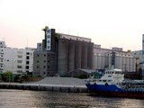 20050528-船橋市日の出2・昭和産業-1825-DSC02040