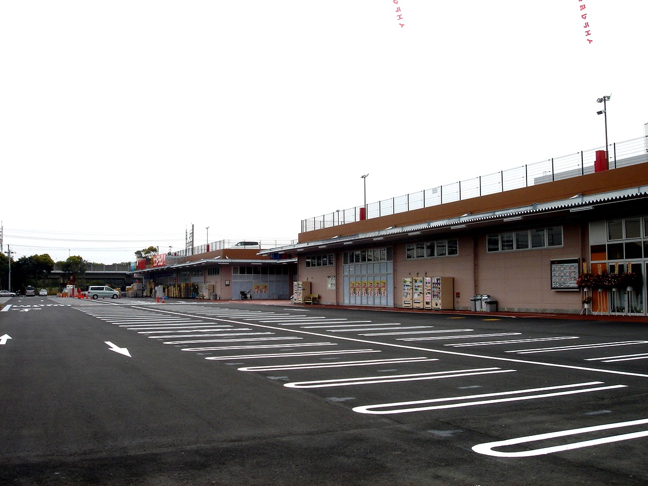 ビバモール新習志野店がプレオープン 2 ビビット06part1