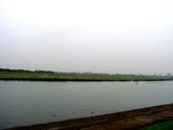 20050716-市川市・江戸川放水路・市川市側土手-0929-DSC01605