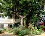 20061022-習志野市谷津・沖縄学生会館-1319-DSCF0032