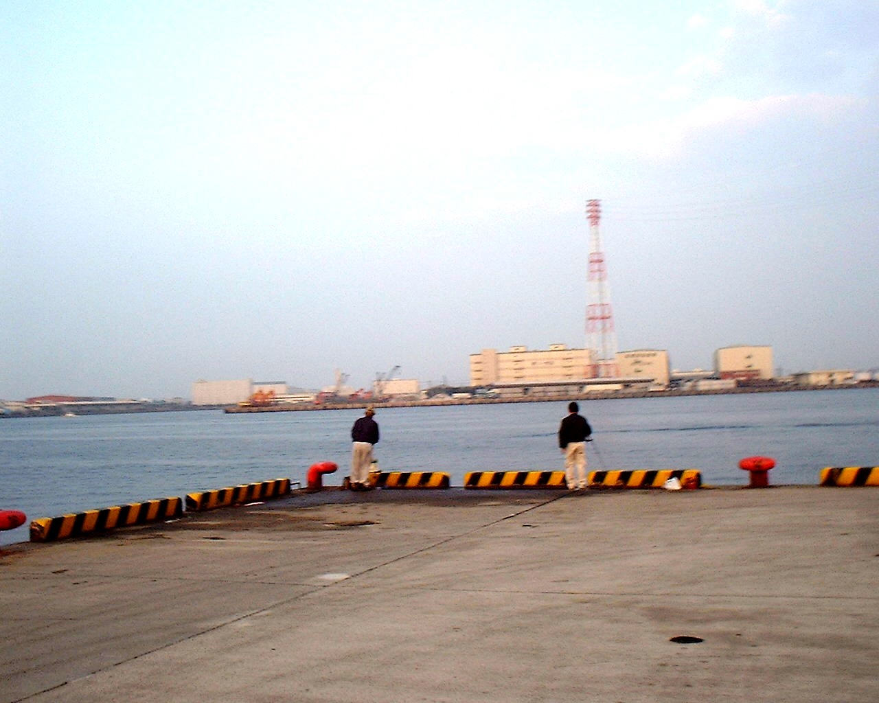 早朝の岸壁釣り 船橋港 ビビット06part2